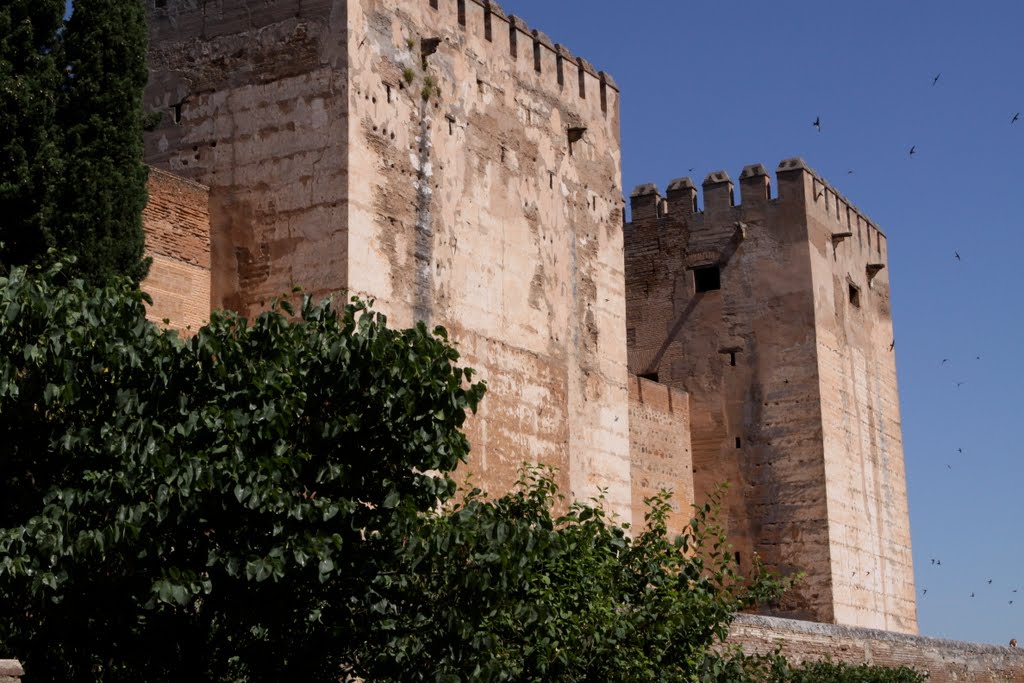 La Alhambra wall by Victor “Afrocan” GIL…