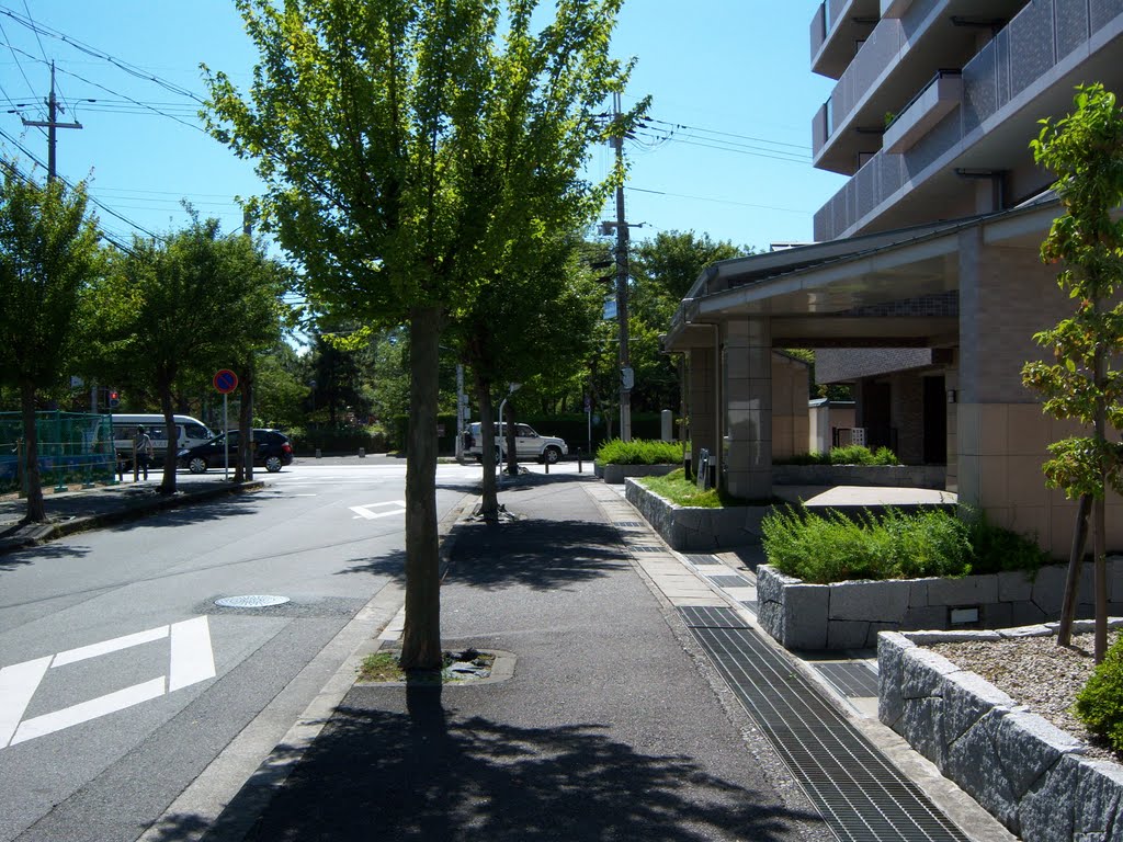 長浜駅西側　Nagahama St.　West by SquareFish