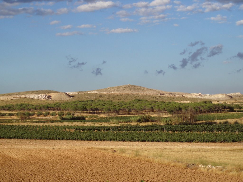 Pinos del Boticario by albamonte