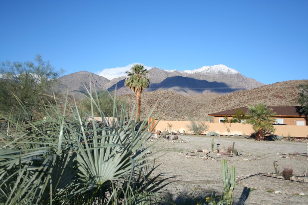 Www.BorregoPalms.com, desert, vacation, rental, Borrego Springs, house, Anza, Borrego by Eric Hanscom