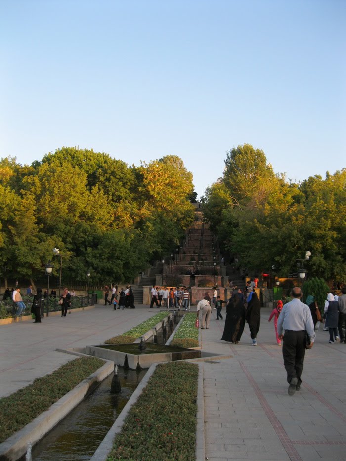 Big trees.sha goli by Reza Ahmadpoor