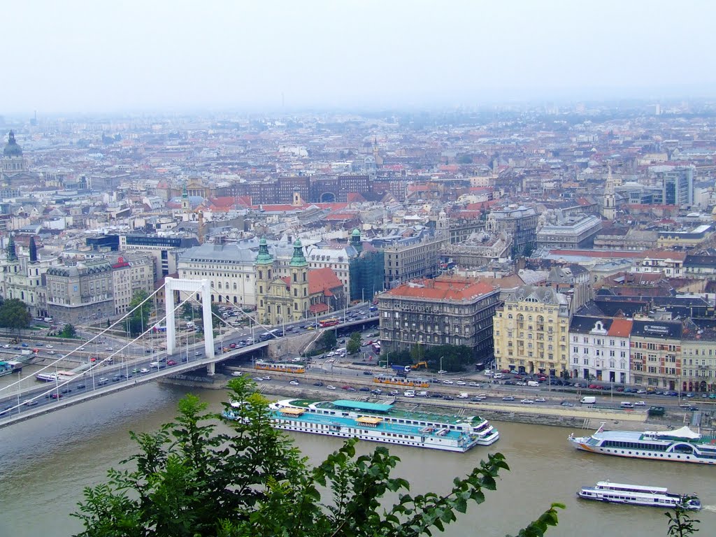 Budapest Erzsébet hid és a belváros by stefanpapa