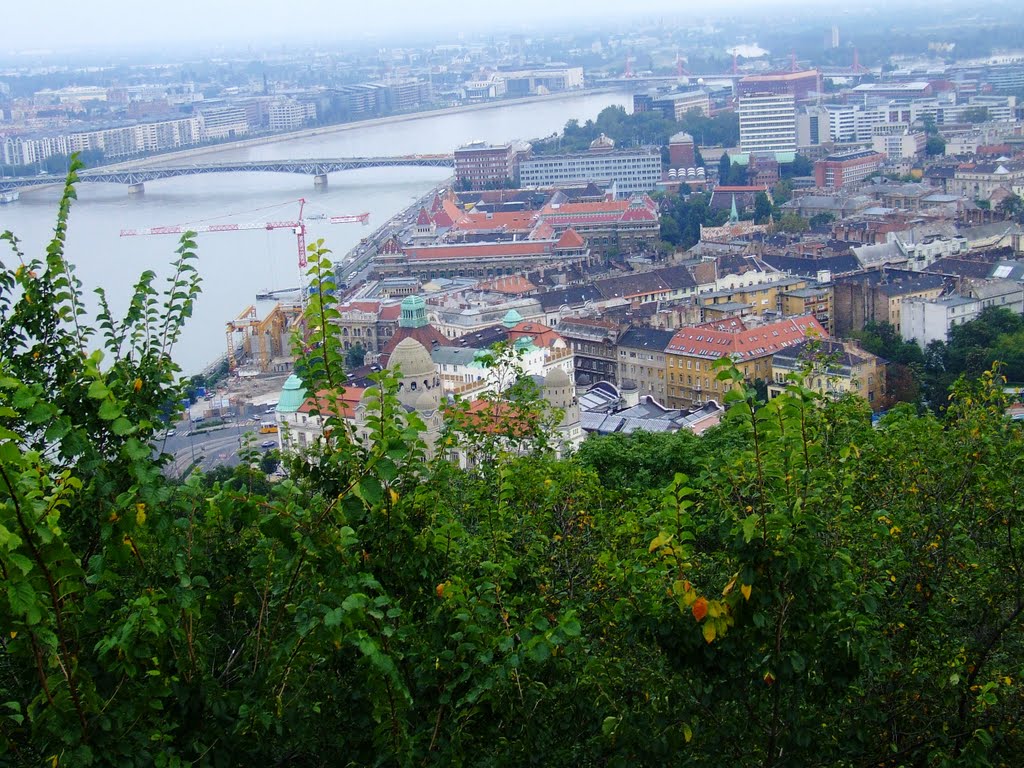 Budapest budai rakpart,a fák mögött a Gellért szálló by stefanpapa