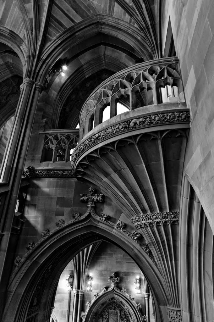 Rylands library gothic interior by terry c