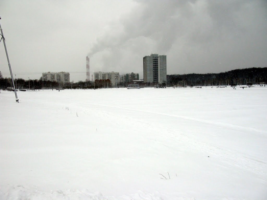 After the snowfall 2009-12-30 by Lodo