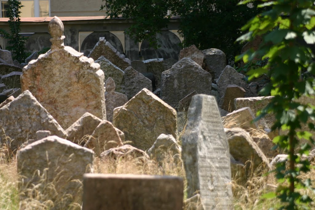 Starý Zidovský Hřbitov (Old Jewish Cemetery), Josefov, Praha (Prague), Česká Republika (Czech Republic) by Hans Sterkendries