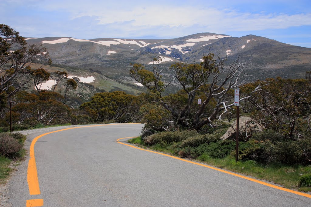 Mt Twynam from Charlotte Pass by Greg Swinfield