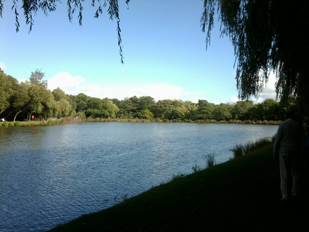 Boating Lake by czed36