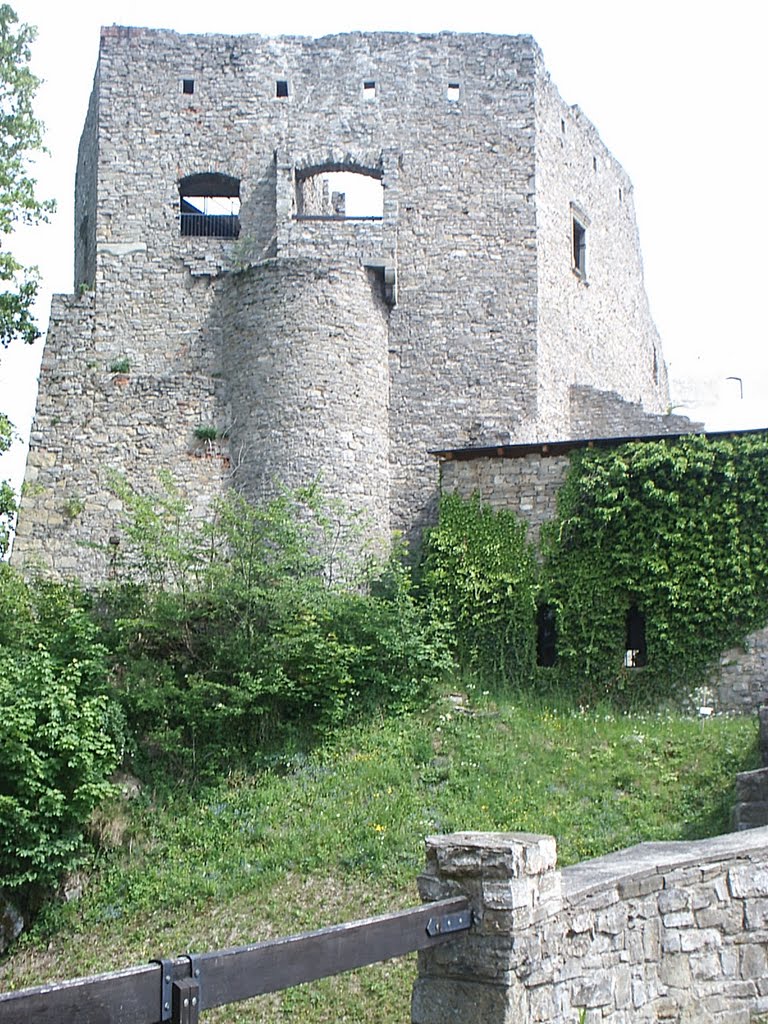 Zřícenina hradu Hukvaldy by votoja - CZ