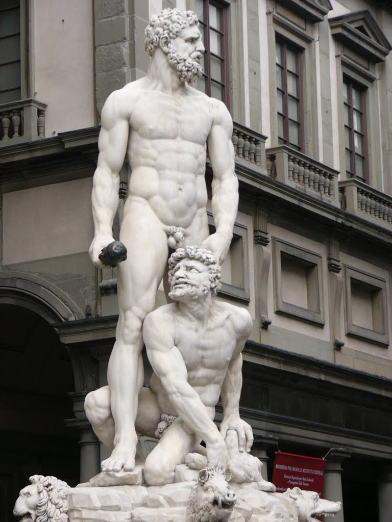 Firenze, piazza della signoria by Gianfranco Massetti