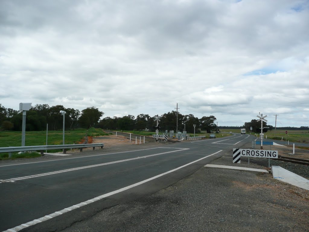 80km/h Train Xing Speed Cameras by Goldfish