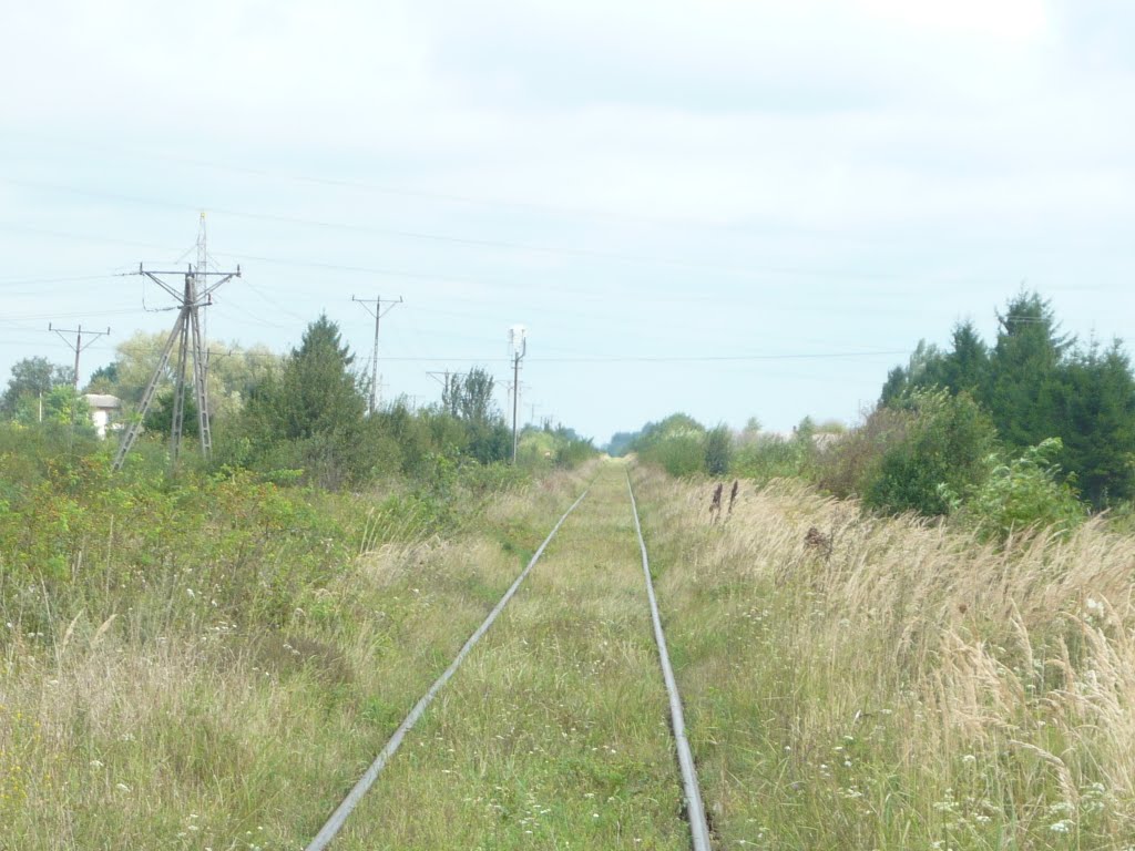 Chełm - linia na Włodawę-Brześć Litewski-Czeremchę. by Dobry05