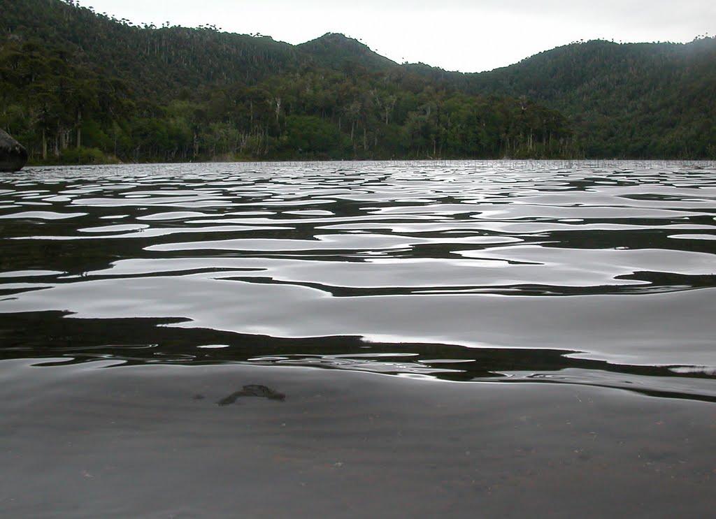 Laguna Verde Huerquehue (no bote basura acá) by Mono Andes