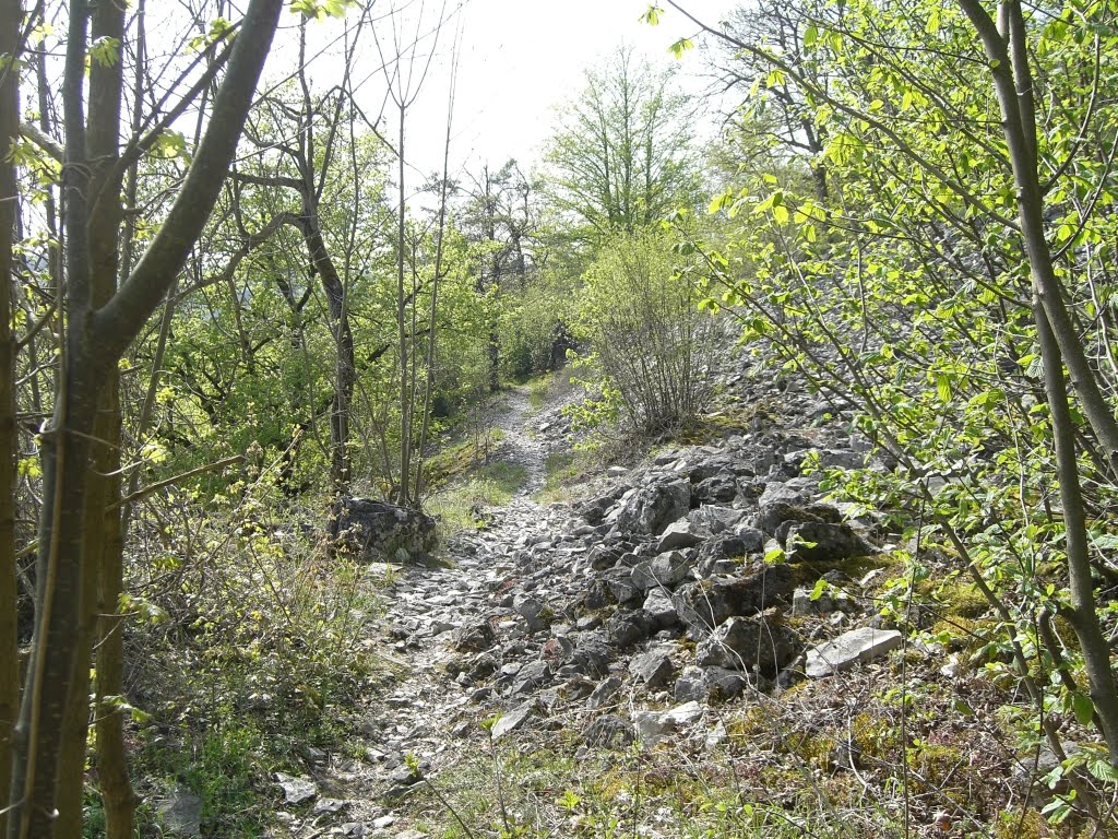 Durch die Geröllhalde an der Houbirg by DK2ZA