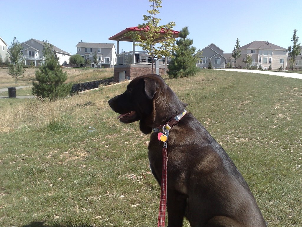 Zoe at the park by gisuser