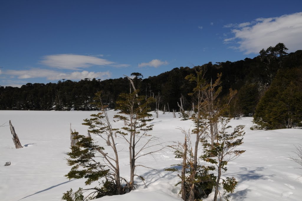 PARQUE NACIONAL CONGUILLIO by victor hugo hazeldin…