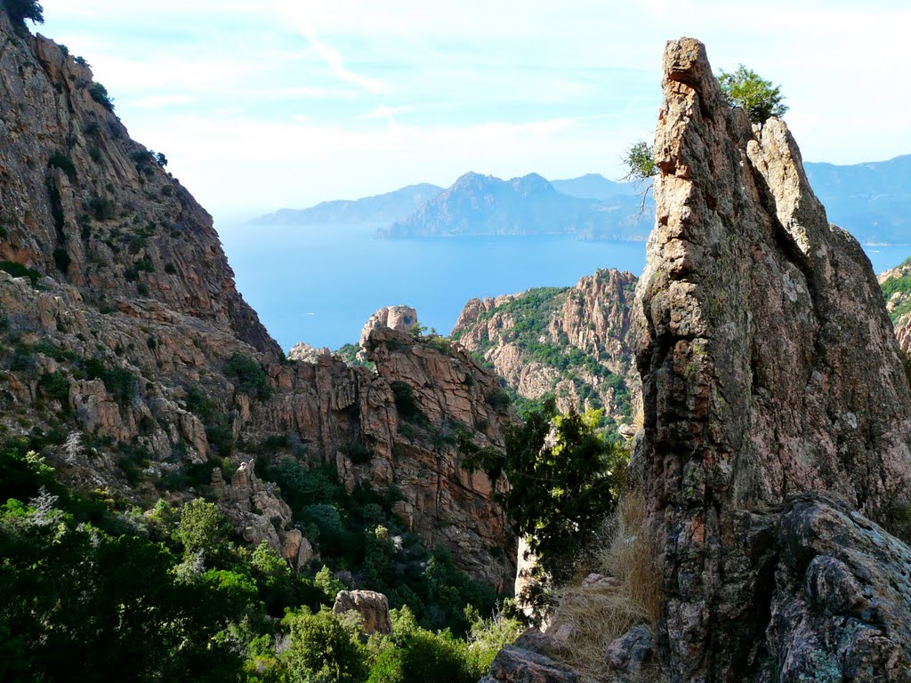 Golfe de Porto vu des Calanche by Michel Gervais (Cyan…