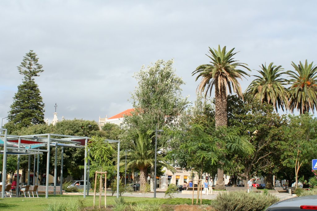 Avenida Luisa Todi by jan o b