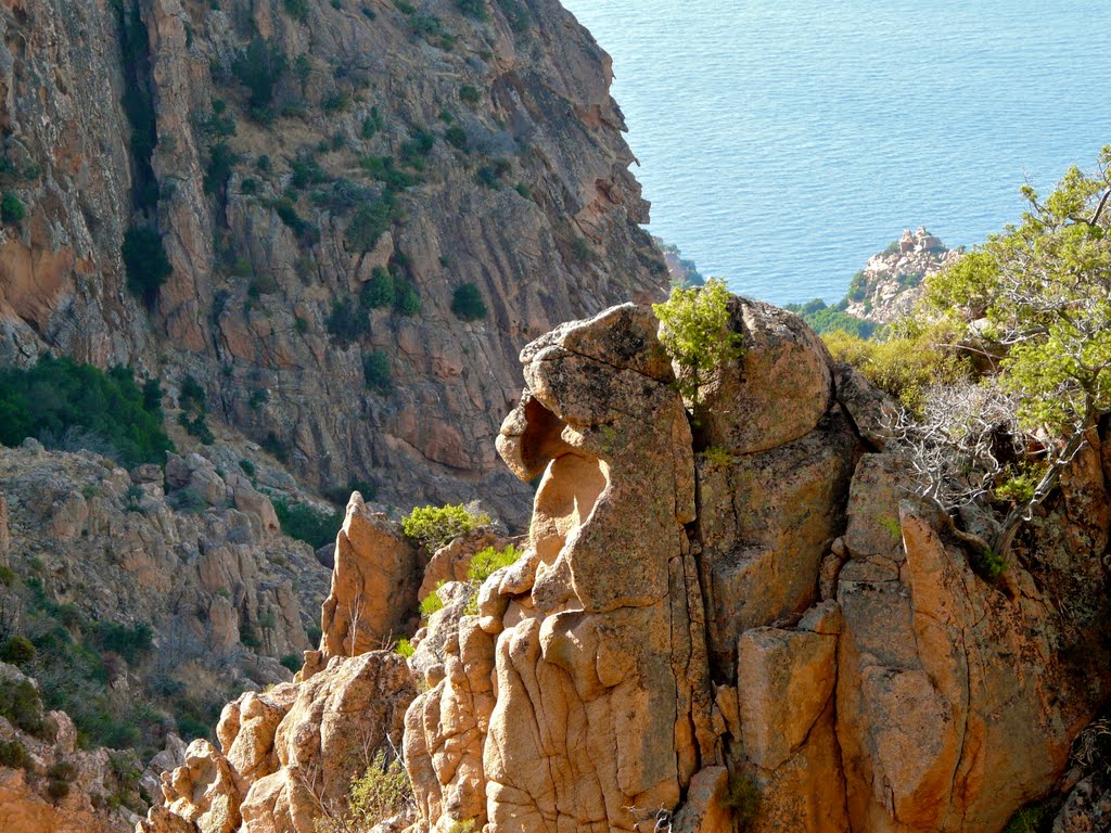 Rochers dans les Calanche de Piana: Totem indien by Michel Gervais (Cyan…