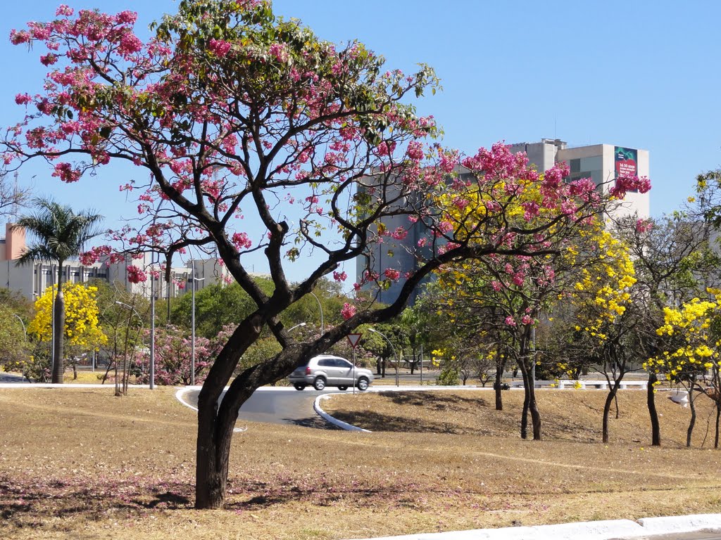 Show de cores na seca de Brasilia by Fabio de Novaes Filh…