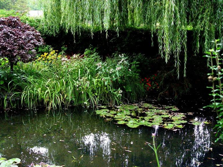 La maison de Monet, Le jardin d'eau, Sep. 2010 by 20021126