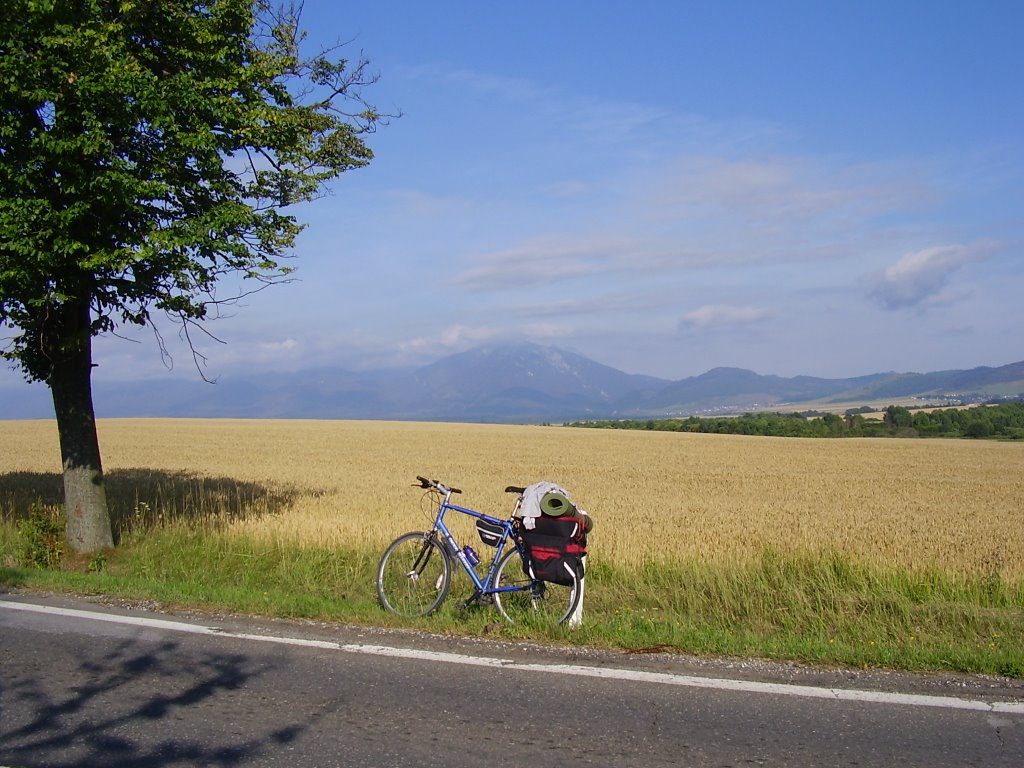 Near Spisška Bela by Taavi L