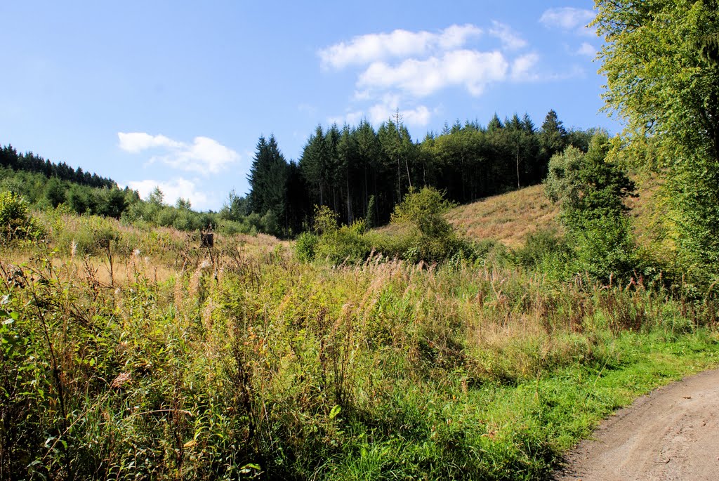 Houffalize Landscape 4 by johnvantighem