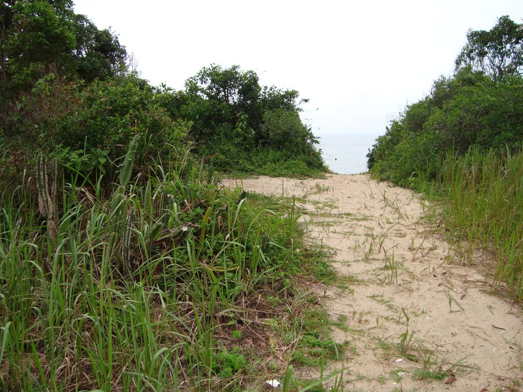 Trilha até a Praia da Lagoa by Augusto de Carvalho