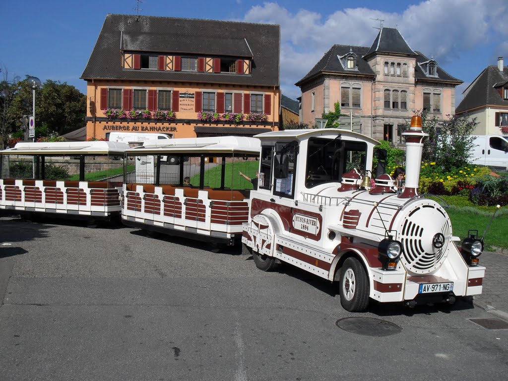 Le Petit Train Touristique de Ribeauvillé (Alsace) by angelix59