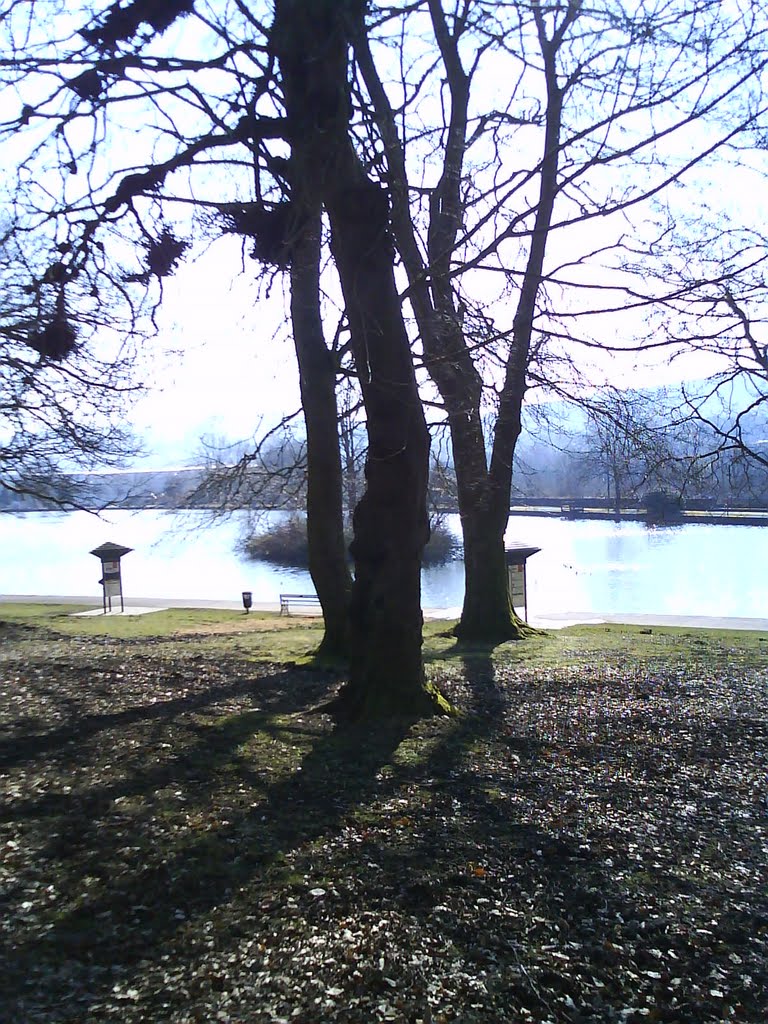 Winter at Cyfartha Park. Merthyr Tydfil by moonska