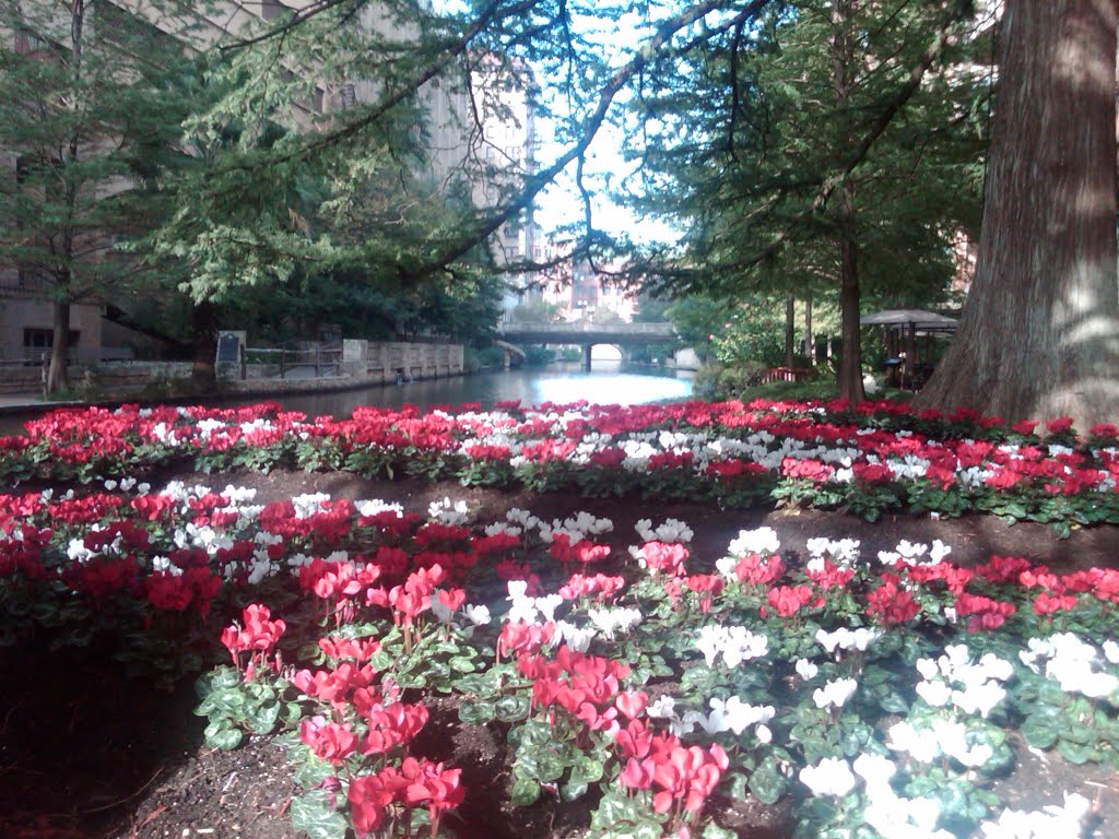 San Antonio River Walk by drlamberth