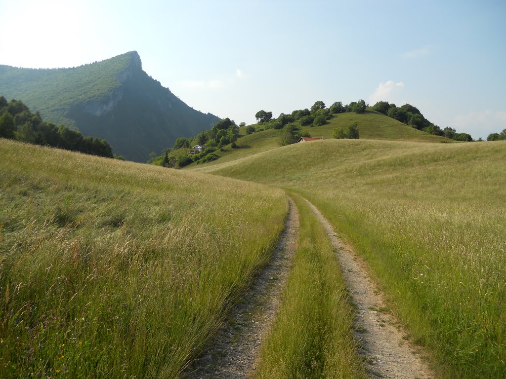 Prateria in Possimo by Nuvolarossa