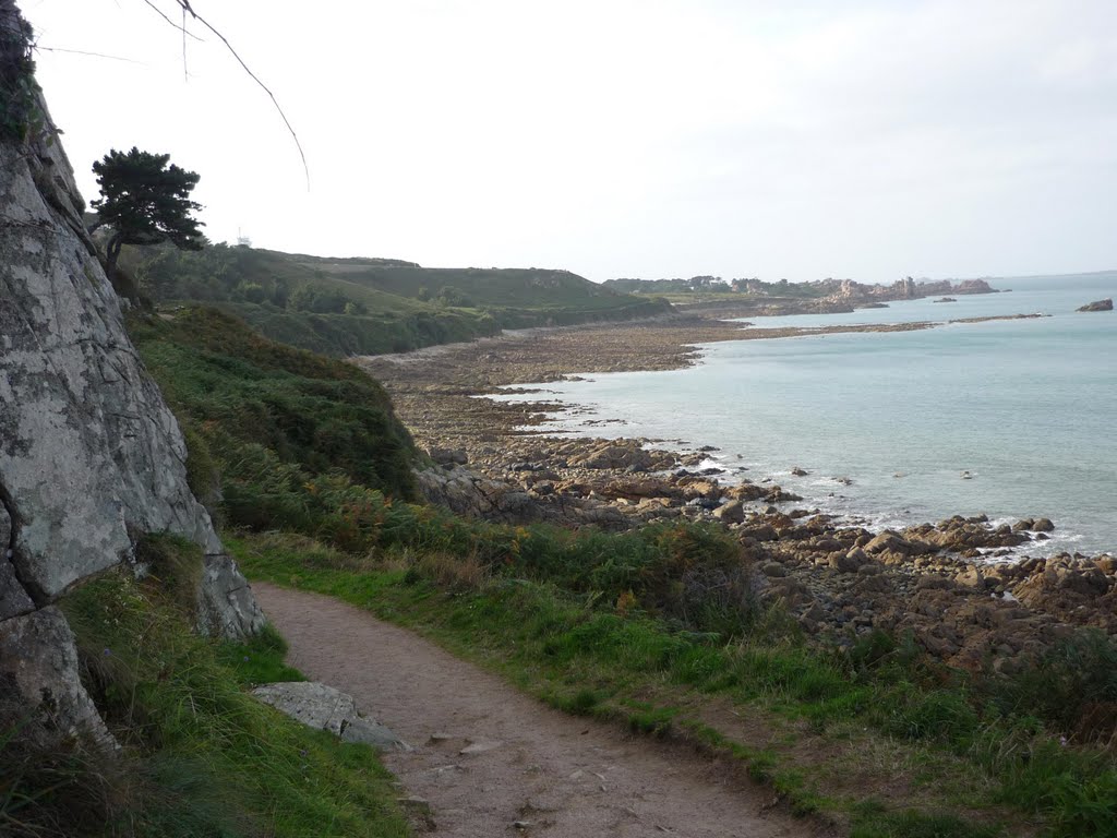 Vue du Rivage depuis le Chemin des Douaniers GR34 reliant la Plage de Trestraou à Perros Guirec aux Rochers de Ploumanach. by crechargant