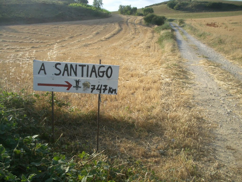 Uterga, 31133, Navarre, Spain by Pedro Maza