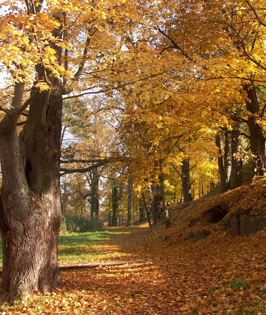 Zámecký areál Ctěnice-park by Kamil Kristen Brzák-…