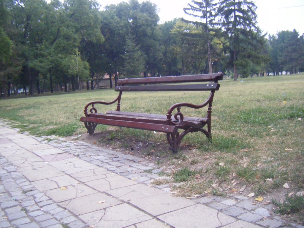 Lepa klupa u tvrdjavi, Nice bench in the fortress by Veljko Nikolic