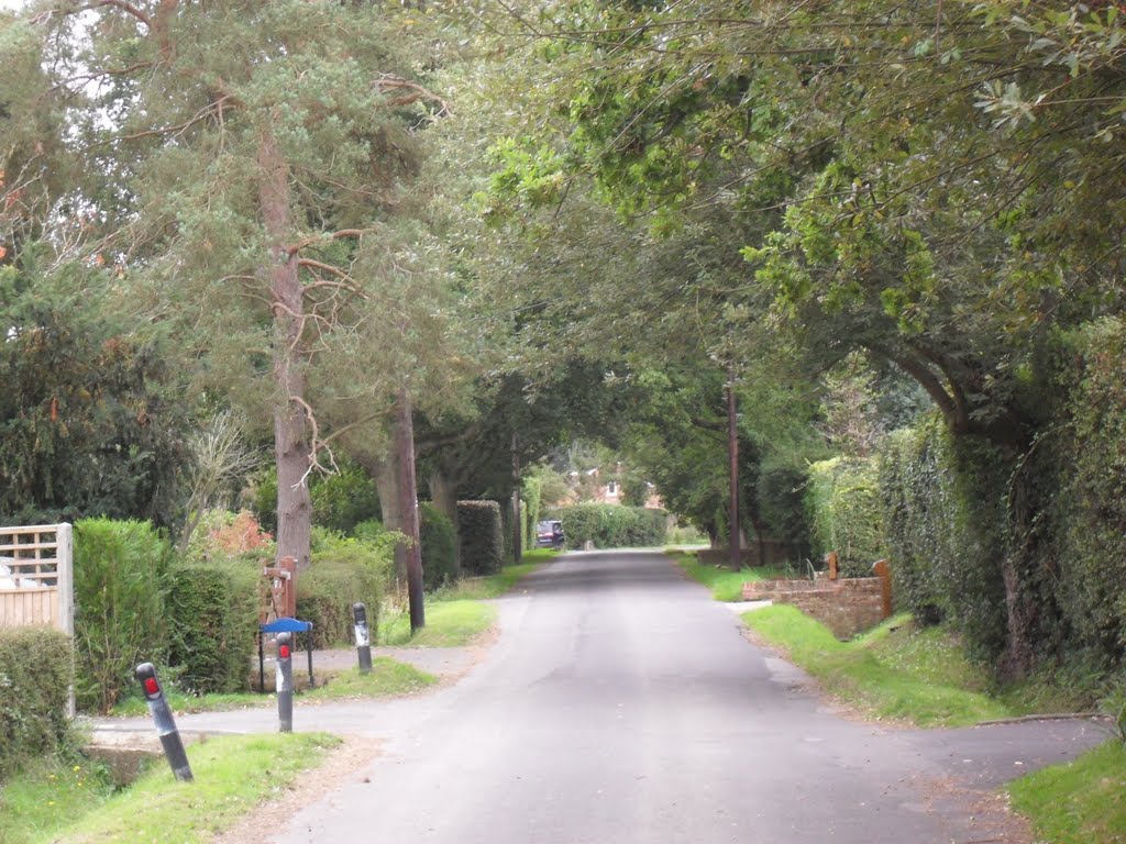 Wedmans Lane by Robert'sGoogleEarthP…