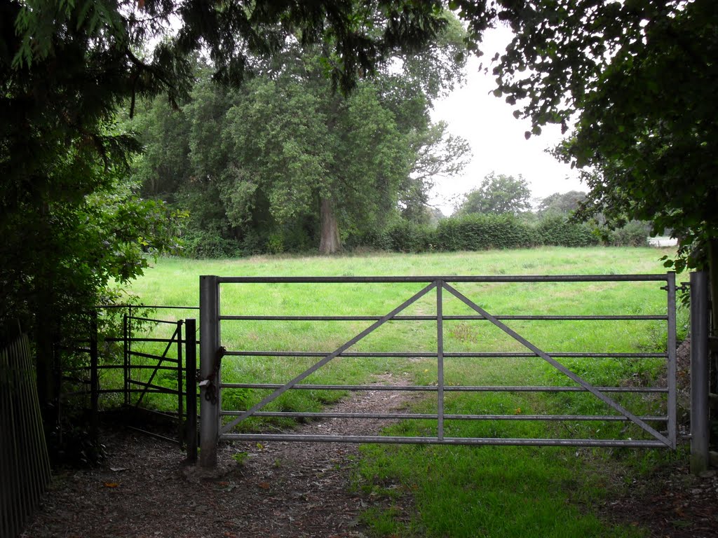 The Lampards Close sidepost and silvery gateway by Robert'sGoogleEarthP…