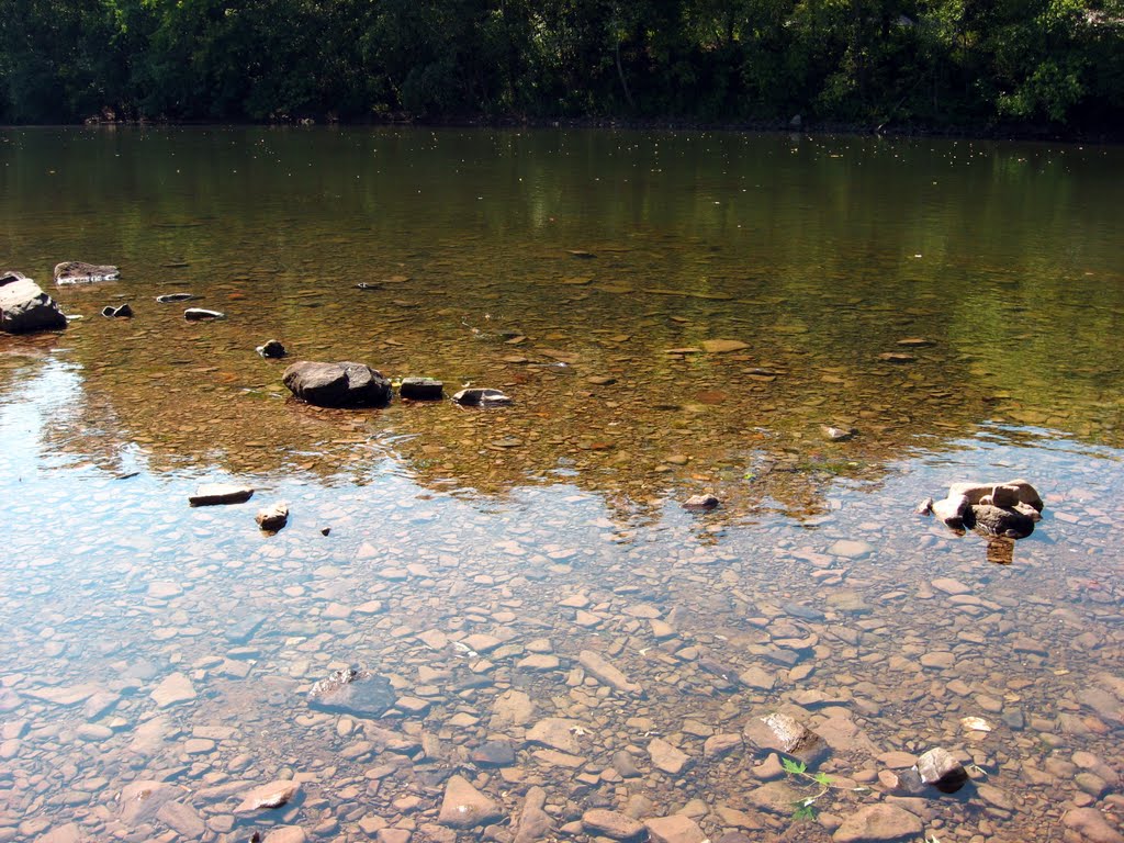 Schuylkill River Rocks by JasonWardStudios