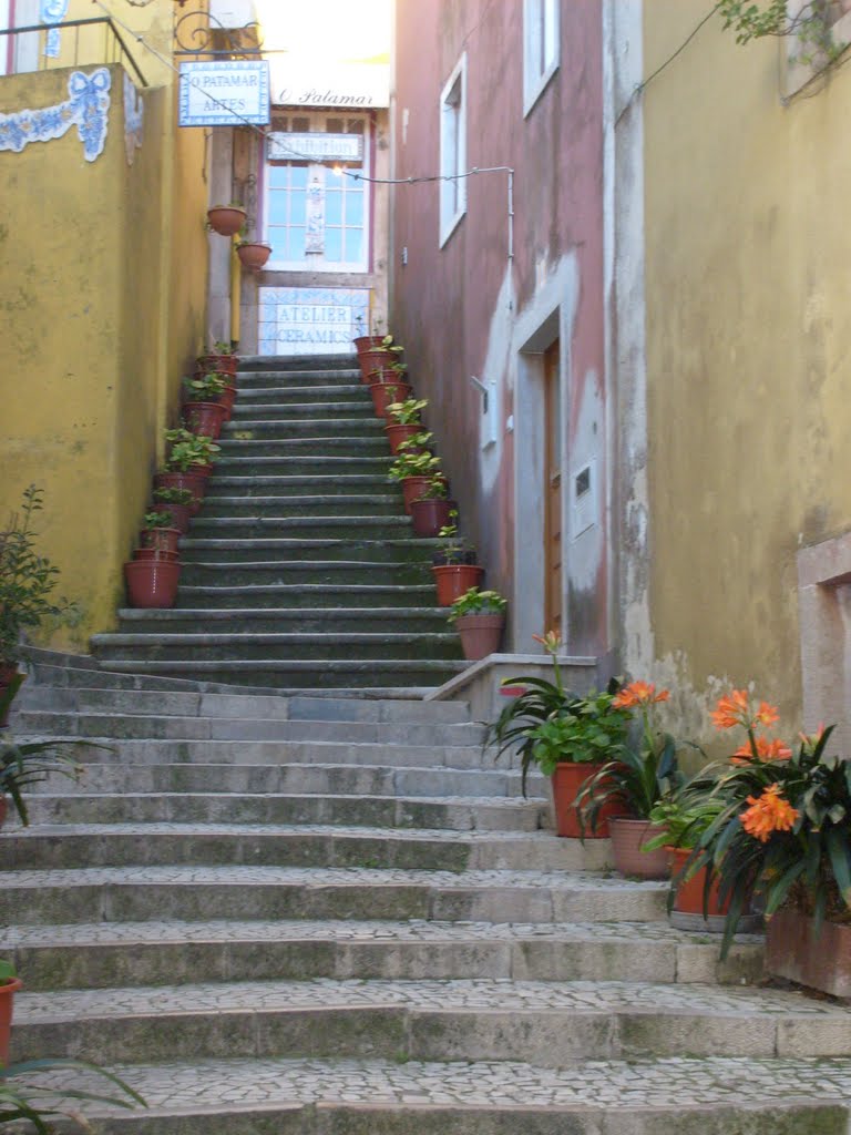 Treppe in Sintra by Elke Leinhoß