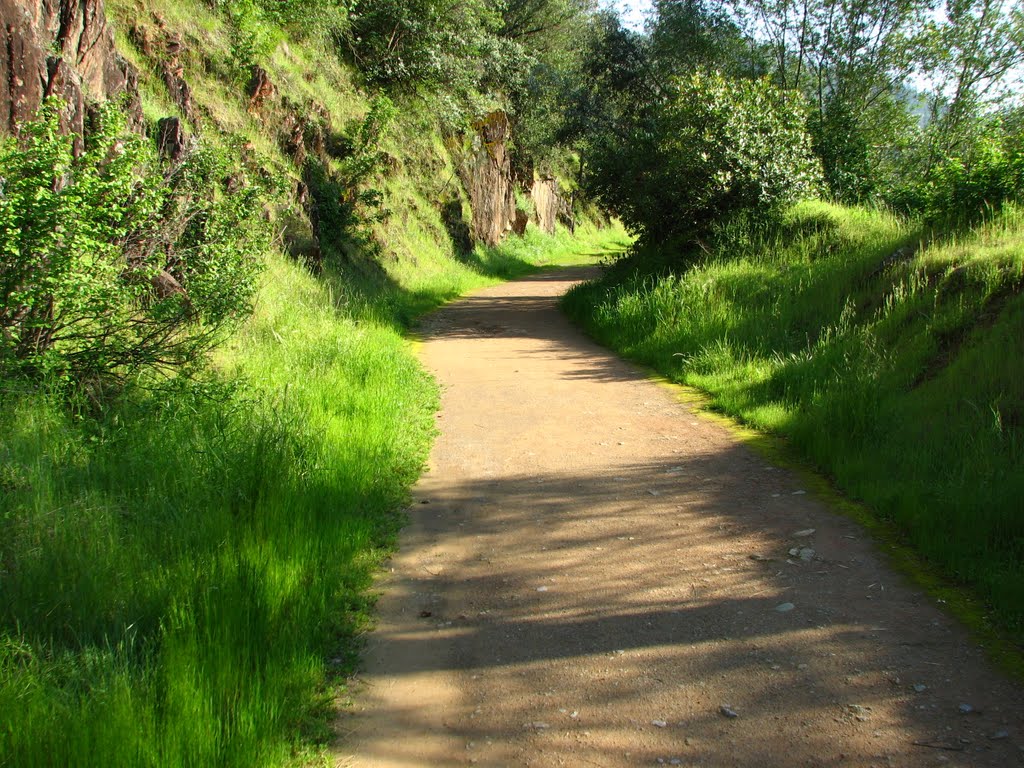 Trail to No-Hands Bridge in Spring by A.T. Burke