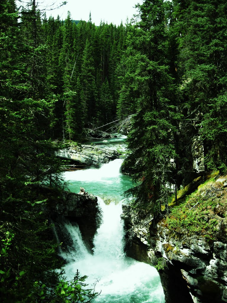 (13)Small Glacial Falls, Banff National Park, Division No. 15, Alberta by David Broome