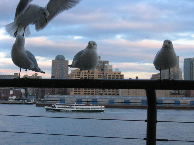 South Street Seaport Pier 17 by Jodie Lin