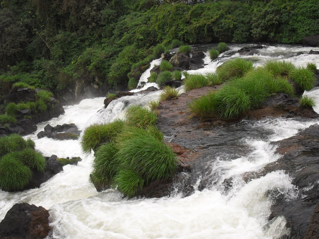 Foz do Iguaçu - State of Paraná, Brazil by Rafael Sene