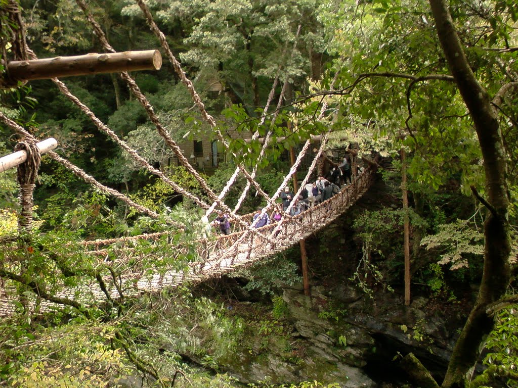 日本三奇橋 祖谷のかずら橋 Kazurabashi Bridge -The Three Most Strange Bridges in Japan- by hirokuta