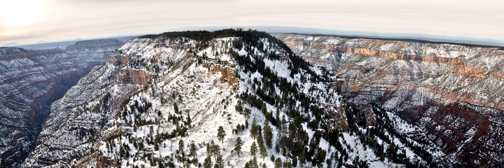 Coconino County, AZ, USA by pescheli