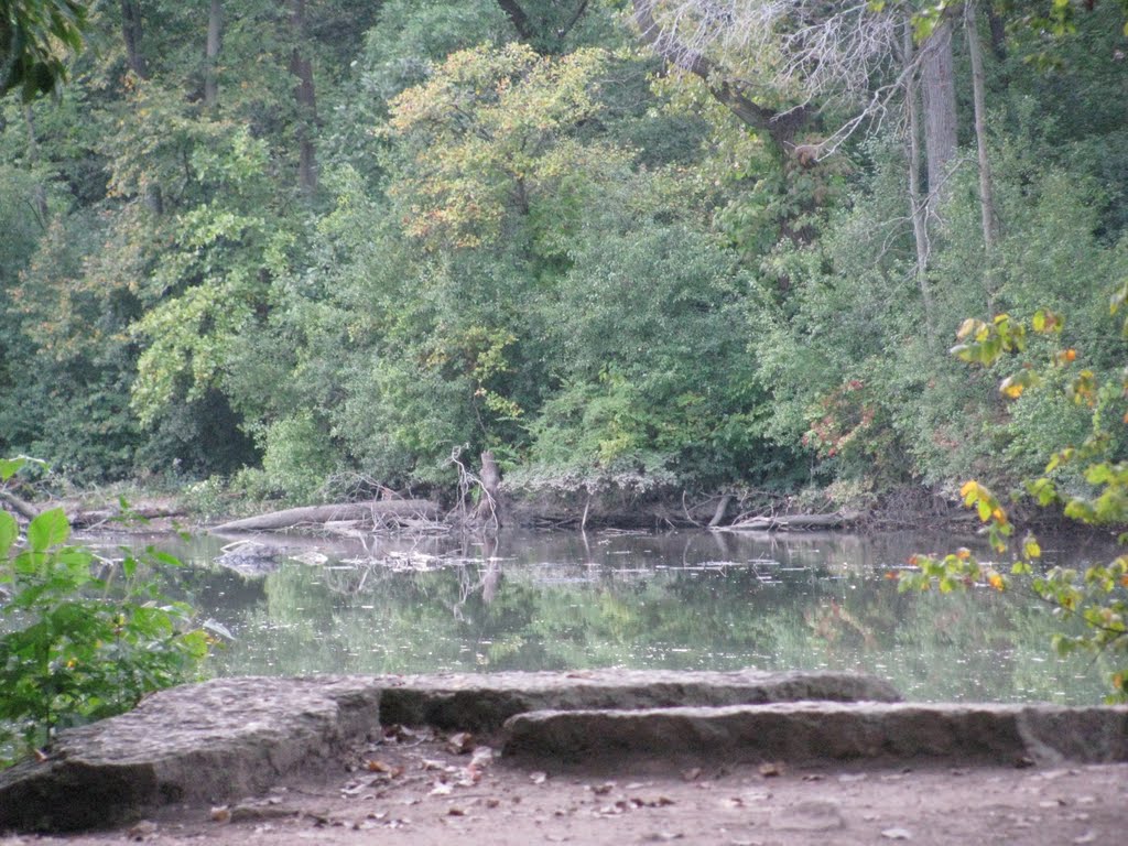 Graue Mill - Salt Creek above the Dam by JamiesonR