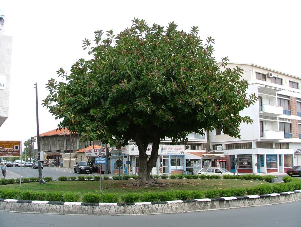 Baum im Kreisverkehr by Markierer