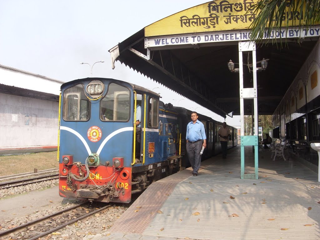 Starting point of the famous Darjeeling Himalayan Railway (DHR), Siliguri. by Julian Nyča