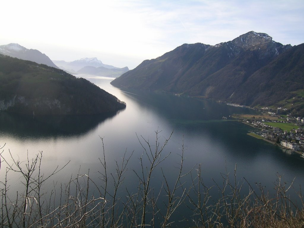 The lake of 4 cantons from Morschach by francesco Rizzi